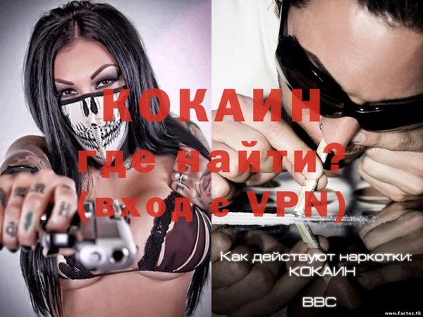 гашиш Богданович