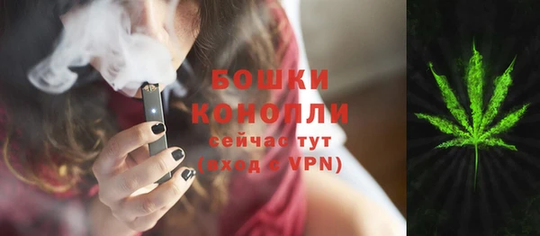 гашиш Богданович