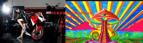 mdpv Богородск
