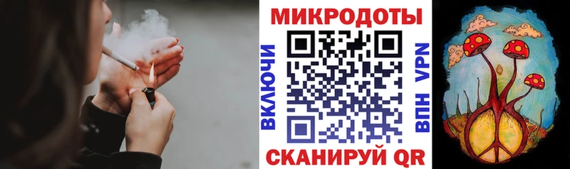 Галлюциногенные грибы Psilocybe  shop какой сайт  Вуктыл 
